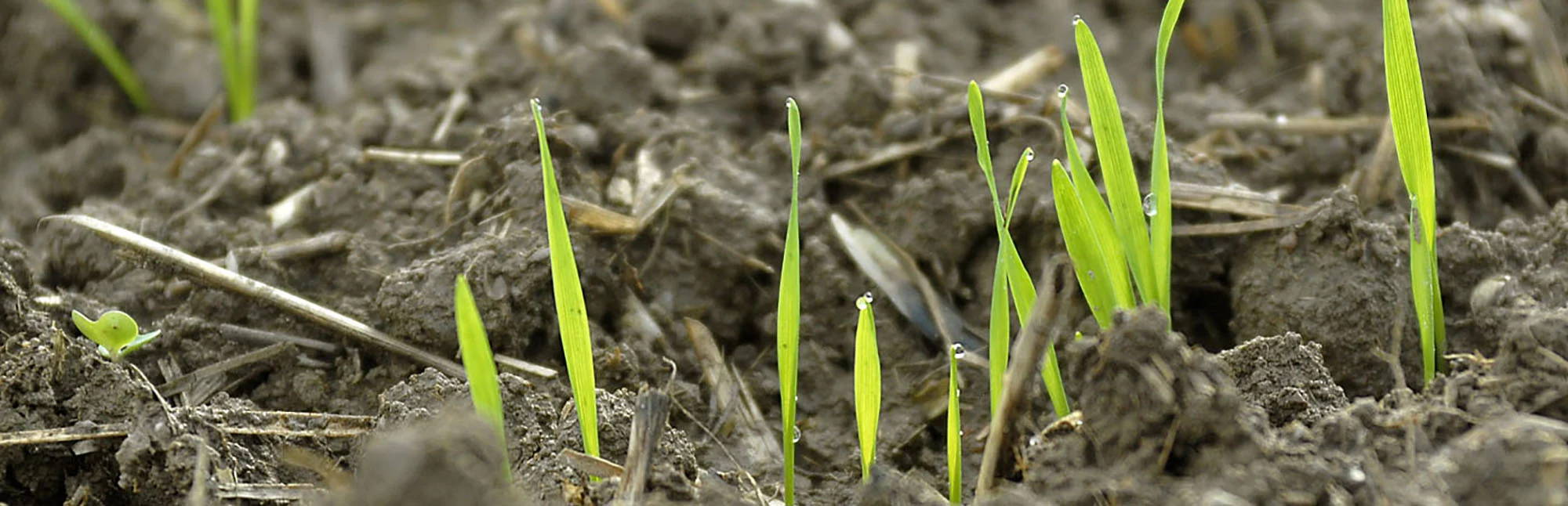 Moderation-Mediation-Coaching Wismar