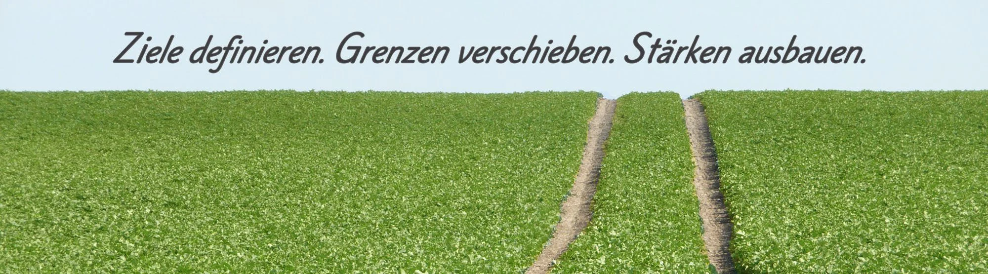 Moderation-Mediation-Coaching Wismar